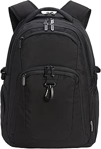 Amazon Basics Travel Laptop Backpack 17 inch Laptop, Black