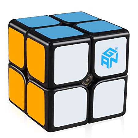 D-FantiX GAN 249 V2 M 2x2 Speed Cube Magnetic Gans 249 2x2x2 Magic Cube Puzzle Black Core