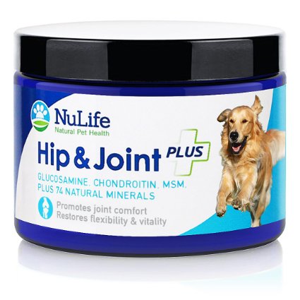 1 Best Glucosamine for Dogs with Chondroitin MSM and Organic Coral Calcium - Natural Dog Supplements for Joints - Safe and Effective Arthritis Pain Relief for Dogs - Improves Mobility and Joint Health