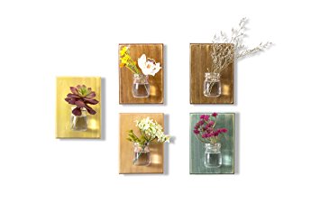 WOOD MEETS COLOR Hanging Vase On the Wall, A set of five Boards(Including Nails and Ropes, No Flower) (Brown Fawn Orange Yellow Lily-green)