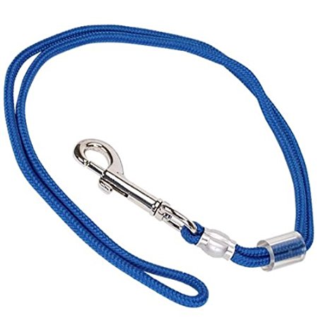 PetEdge Braided Nylon Grooming Dog Loop, 18-Inch, Royal Blue