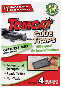 Tomcat Mouse Size Glue Traps, 4-Pack (Eugenol Formula)