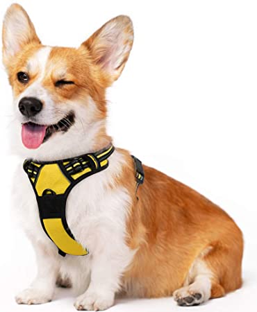 rabbitgoo Dog Harness, No-Pull Pet Harness with 2 Leash Clips, Adjustable Soft Padded Dog Vest, Reflective No-Choke Pet Oxford Vest with Easy Control Handle for Medium Dog, Moon Yellow (M, Chest 19.1-29.3")