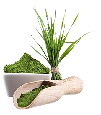 Organic Wheatgrass Powder - Bulk 5 lb Size - 100% Pure, Raw, Non-GMO, Vegan - Amazing Green Superfood For Smoothie, Juice, Shakes, & Recipes - Natural Plant Protein Source