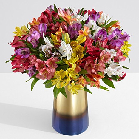 ProFlowers - 25 Count Multi-Colored 100 Blooms of Holiday Cheer with Large Ginger Vase w/Free Clear Vase - Flowers