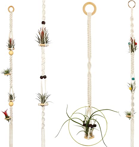 4 Pieces Hanging Air Plant Holders Tassel Plant Hanger Cotton Woven Hanging Plant Holder Decorative Air Plant Hanger with 4 Pieces Hooks for Home Plant Decoration