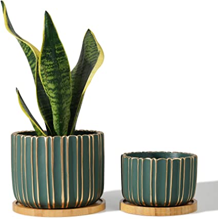 POTEY 057403 Cement Planter Pots - 5.7   4.7 Inch Indoor Concrete Planters Bonsai Containers with Drainage Hole & Bamboo Saucer for Plants Succulent Cactus Flowers (Set of 2, Plants NOT Included)