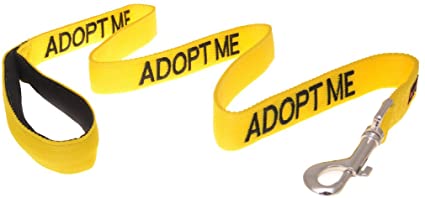 Dexil Limited Adopt ME Yellow Color Coded 2 4 6 Foot Padded Handle Dog Leash (New Home Needed) Donate to Your Local Charity