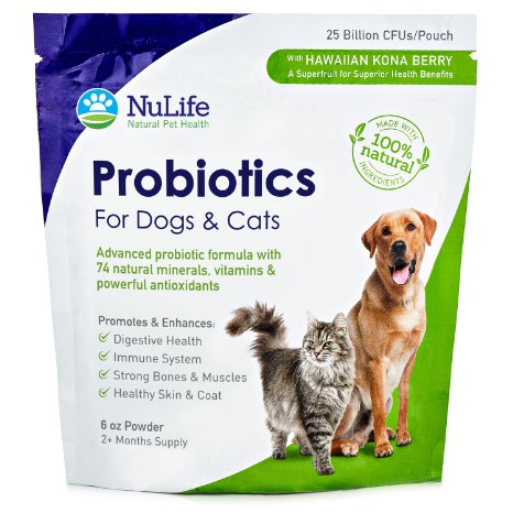 Advanced Probiotics for Dogs and Cats with Antioxidants - Improves Digestive Health in Pets - Boosts Immune System - Relieves Diarrhea, Gas, Itching & Skin Allergies - 100% Natural & Safe - 6oz Powder