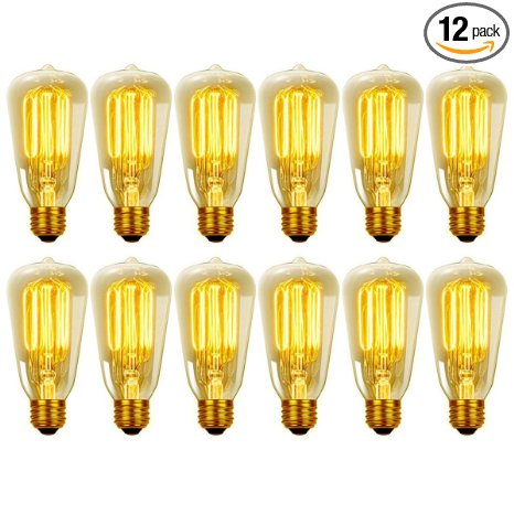 Globe Electric 40W Vintage Edison S60 Squirrel Cage Incandescent Filament Light Bulbs (12-Pack), E26 Base, 313242