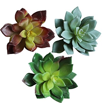 Assorted set of 3 Artificial Succulent Cabbage Echeveria Picks Faux Succulents 3 colors(green,soft green,plum green),3.6" Tall X 4.4 " Bloom Diameter