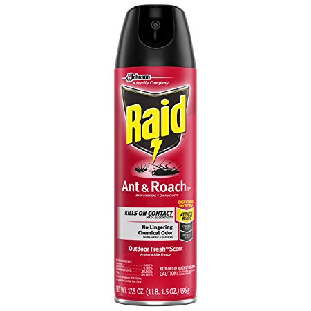 Raid Ant & Roach Killer, Outdoor Fresh Scent, 17.5 Oz