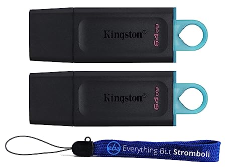 Kingston DataTraveler Exodia 64GB USB 3.2 Flash Drives (Bulk 2 Pack) Type-A Drive Gen 1 High Speed PenDrive for Computer, Laptop, PC (DTX/64GB) Bundle with (1) Everything But Stromboli Lanyard