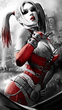 Harley Quinn Batman Arkham City Fabric Cloth Rolled Wall Poster Print -- Size: (43" x 24" / 24" x 13")