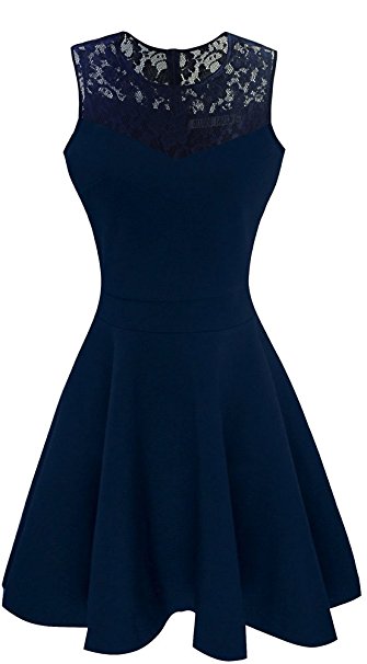 Heloise Fashion Women's A-Line Pleated Sleeveless Little Cocktail Party Dress With Floral Lace