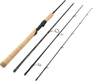 KastKing Valiant Eagle Passage Travel Fishing Rods, 4 & 6 Pc Pack Rods, Spinning, Casting and Fly Models, IM6 Graphite Blank, Ti Oxide LTS Ring Guides, Beautiful Cork Handles