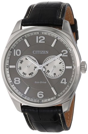 Citizen Men's AO9020-17H Eco-Drive Silver-Tone Watch with Black Leather Band
