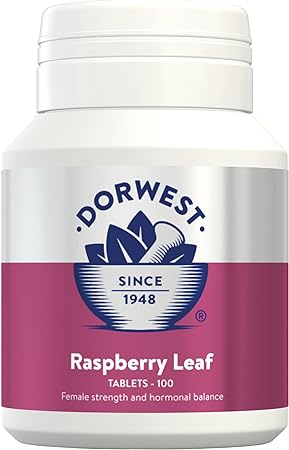 Dorwest Herbs Raspberry Leaf Tablets for Dogs and Cats 100 Tablets