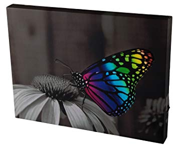 Clever Creations Butterfly Light Up Canvas Wall Art Beautiful Rainbow Butterfly on Flower Wall Art with LEDs | 11.75" x 15.75" Perfect Size for Home, Living Room, or Classroom | Battery Powered