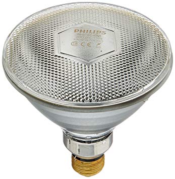 Philips Heat Lamp Clear PAR38 Light Bulb: 175-Watt, MED SKT Base