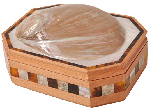 Egyptian Mother of pearl & Paua Shell Inlaid Jewelry trinket Box-Ring REAL one piece SHELL on top