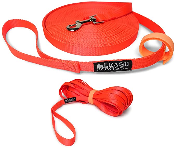 Leashboss Long Trainer - 30 Foot 3/4 Inch Lead - Nylon Dog Training Leash with Storage Strap - K9 Recall (30 Ft, 3/4 in, Orange)