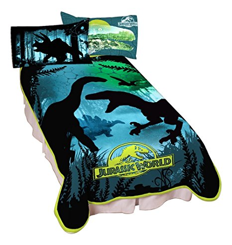 Universal Jurassic World Dino Experience Microraschel Blanket, 62" x 90"