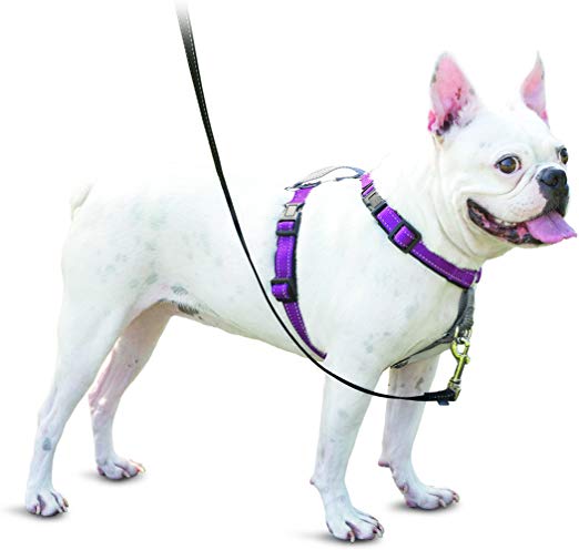 PetSafe 3in1 Harness, from The Makers of The Easy Walk Harness