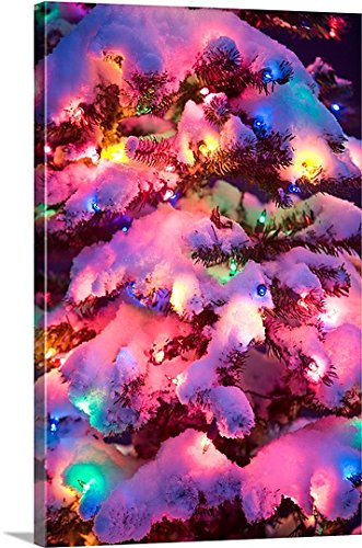 Canvas On Demand Premium Thick-Wrap Canvas Wall Art Print entitled Close up of a multi colored Christmas tree lit at dusk outside in winter