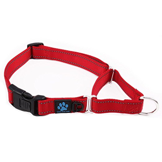 Max and Neo™ Nylon Martingale Collar - We Donate a Collar to a Dog Rescue for Every Collar Sold