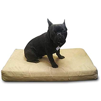 Pet Support Systems Dog Beds - Orthopedic Memory Foam - 100% Made in USA - Luxury Large Breed Washable Pet Bed