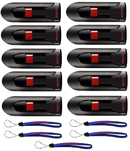 SanDisk Cruzer Glide 8GB (10 Pack) Cruzer USB 2.0 Flash Drive Jump Drive Pen Drive CZ60 - w/ (5) Everything But Stromboli (tm) Lanyard