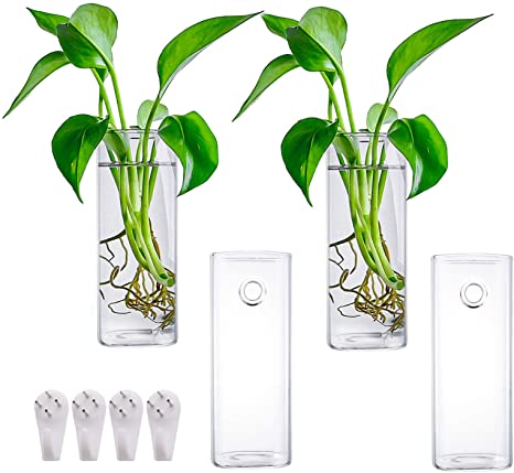 Fasmov 4 Pack Wall Hanging Glass Planters Plant Terrarium, Plants Holders Air Plants Succulents Planters Flowers Glass Wall Vase Containers for Plant, Decoration and Display, Square Vase