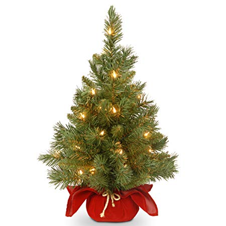 National Tree 24 Inch Majestic Fir Christmas Tree with 35 Clear Lights in Burgundy Cloth Bag (MJ3-24BGLO-1)