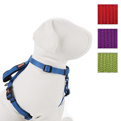 Kong Comfort Control Grip Harness