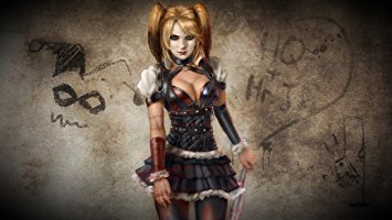 Harley Quinn Batman Arkham City Fabric Cloth Rolled Wall Poster Print -- Size: (43" x 24" / 24" x 13")