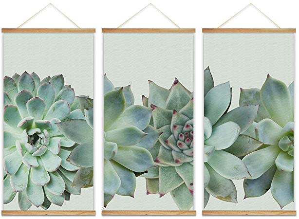 wall26 - 3 Panel Hanging Poster with Wood Frames - Closeup of Succulent Plants - Ready to Hang Decorative Wall Art - 18"x36" x 3 Panels