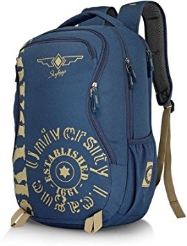 Skybags Raider 25 Ltrs Blue Casual Backpack (RAID02BLU)