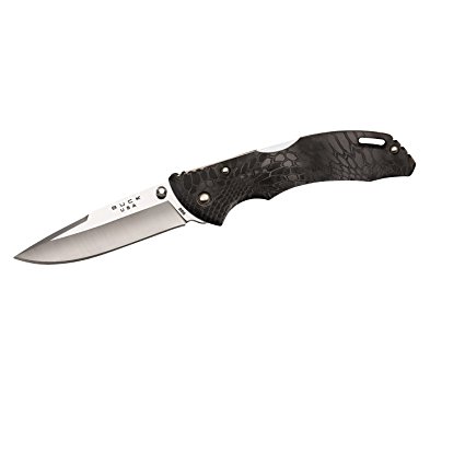 Buck Knives 286 Bantam BHW Assisted Opening Folding Knife with Removable Clip