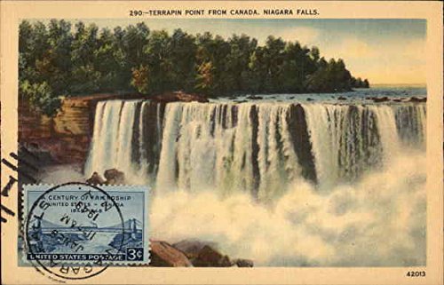 Terrapin Point From Canada, Niagara Falls Niagara Falls, Canada Original Vintage Postcard