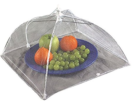 Coleman Food Cover Grey 2000016431