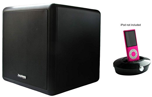 iFinity Wireless Indoor/Outdoor Speaker - Bundle 1 Black