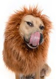Lion Mane Wig for Large Dog Costume - Great for Halloween