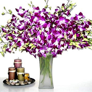 Fresh Flowers - 20 Purple Dendrobium Orchids with Vase