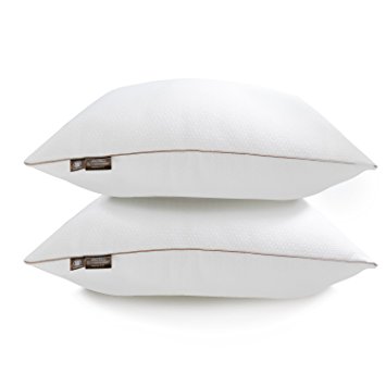 Makimoo MP2 Queen Size Bamboo Fiber Pillow Down Alternative with Extra Filling Super Soft Anti-Odor Hypoallergenic 2 Pack