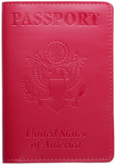 Shvigel Passport Holder - Cover and Travel Wallet - 100 Genuine Leather - For Men and Women - Protect Your Documents Minimalist Organizer Case