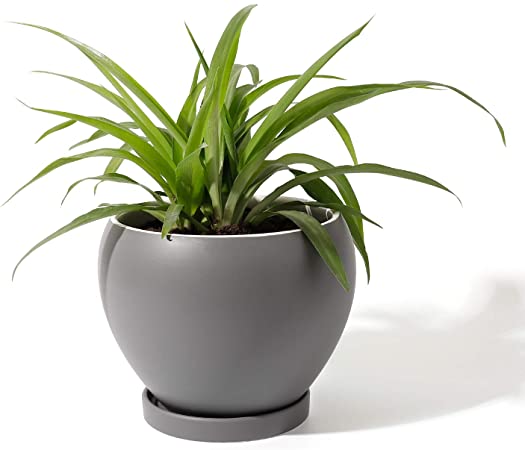 POTEY 052404 Ceramic Plant Pot Planter - 6.7 Inches Grey Planter for Indoor Plants Flower Succulent with Drainage Hole & Saucer