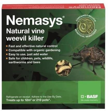 Nemasys vine weevil killer 12sq m - same-day despatch