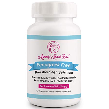 Lactation Supplement for Breastfeeding Support - Fenugreek Free - Breast Feeding Supplements for Milk Supply Increase - 30 Vegetarian Capsules Pills for Increased Breastmilk