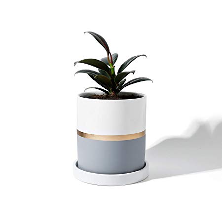 POTEY Cylinder Ceramic Plant Pot - 3.9 Inch Planters with Grey Golden Detailing for Indoor Plants Flower Succulent with Drainage Hole & Saucer